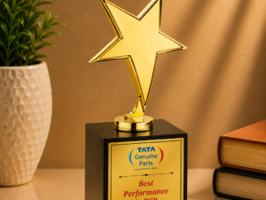 A premium gold star trophy for recognising exceptional performance, business achievements and corporate excellence.