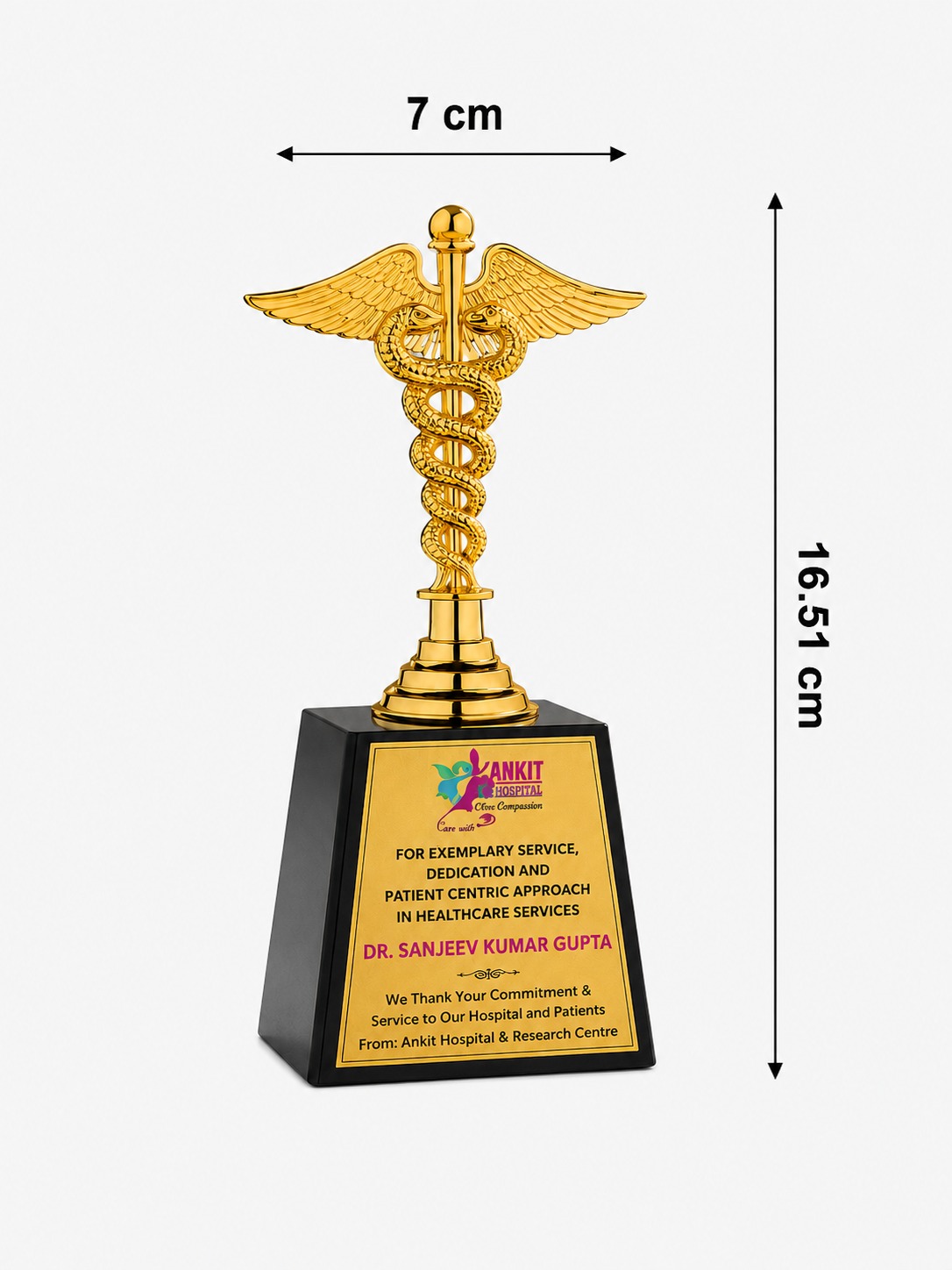 Gold Caduceus Medical Excellence Award Trophy for Healthcare