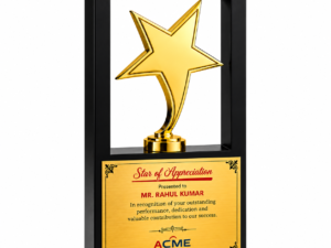 Gold Star Appreciation Award Plaque for Corporate Excellence