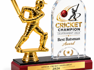 Customized cricket trophy with golden batsman figure and clear acrylic award base